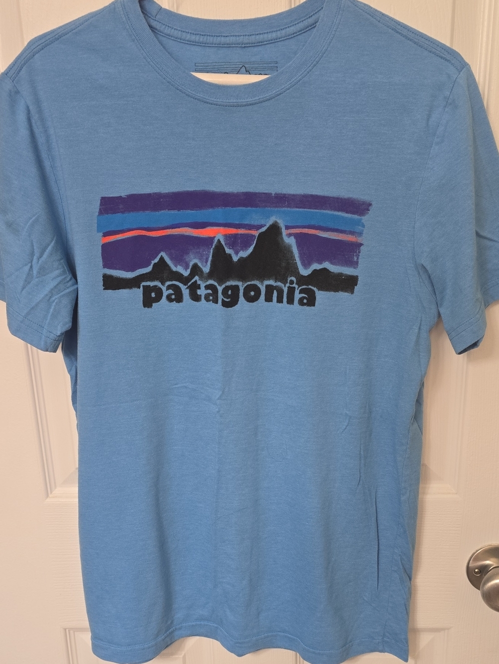 * EUC * Patagonia T-shirt